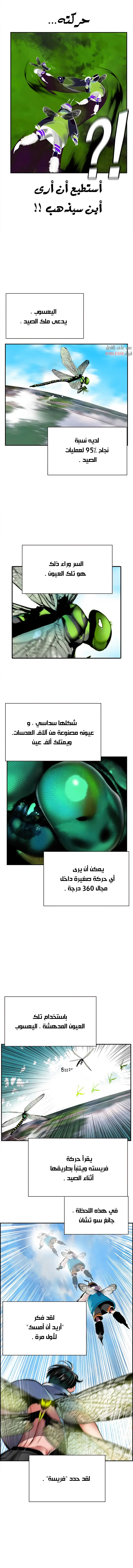 الصفحة 13
