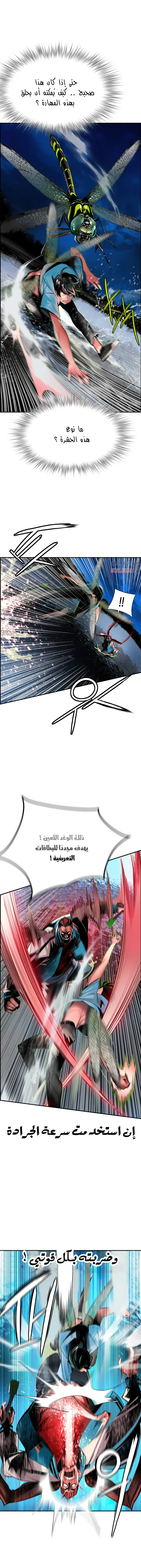 الصفحة 8