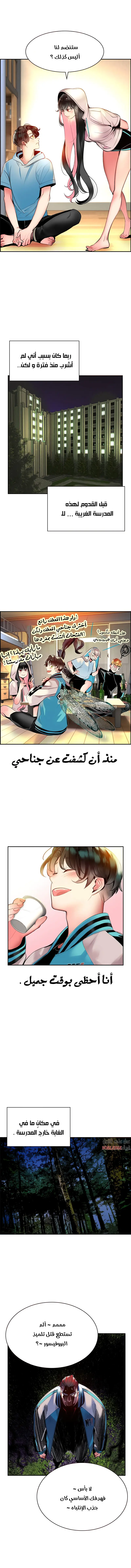 الصفحة 15