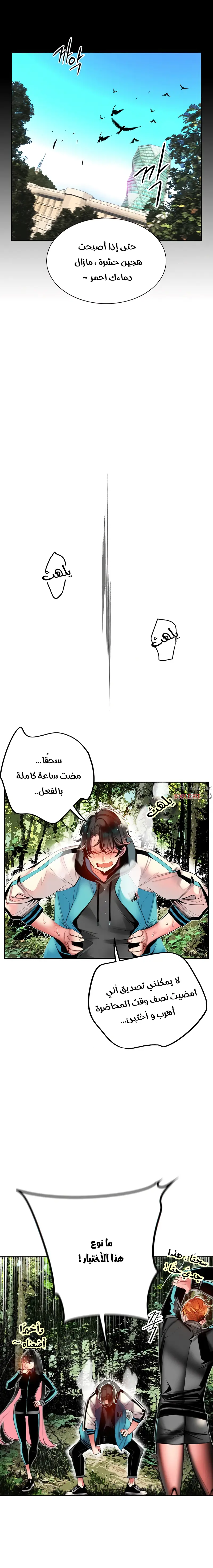 الصفحة 12
