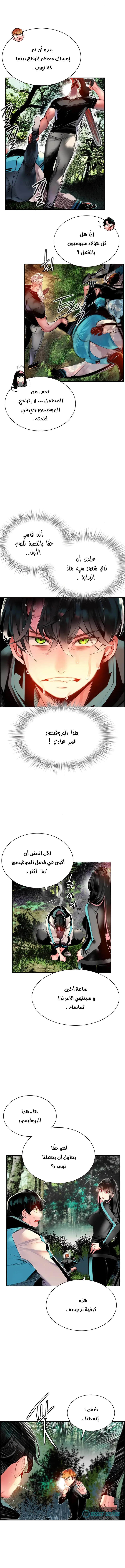 الصفحة 13