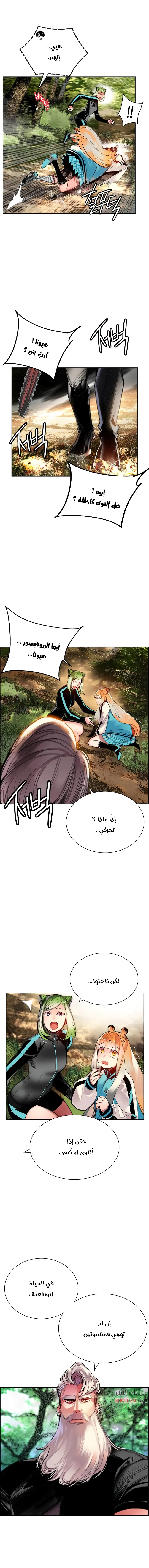 الصفحة 14