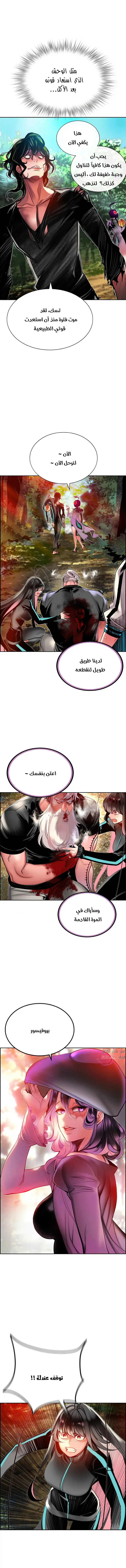 الصفحة 13