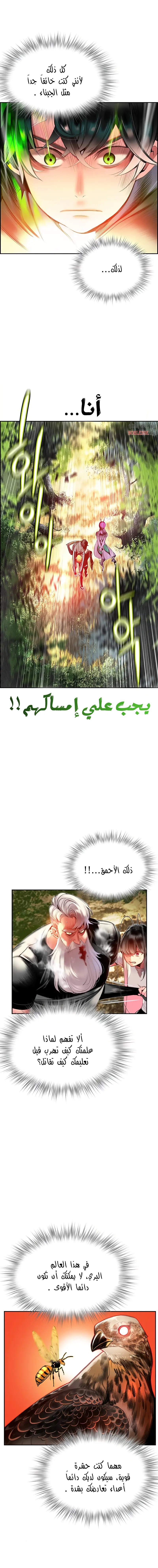 الصفحة 16