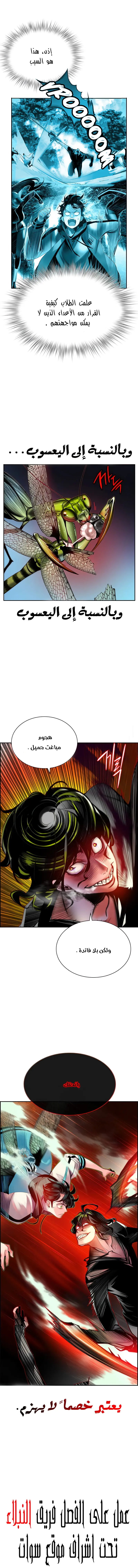 الصفحة 17