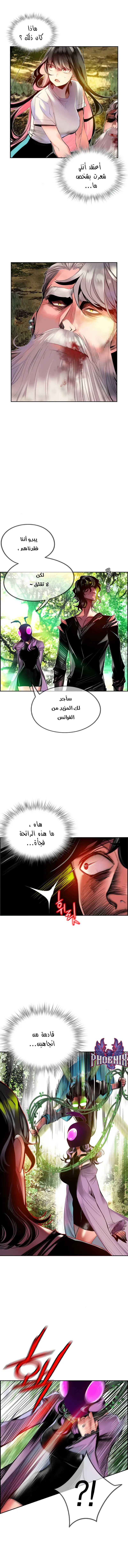 الصفحة 13