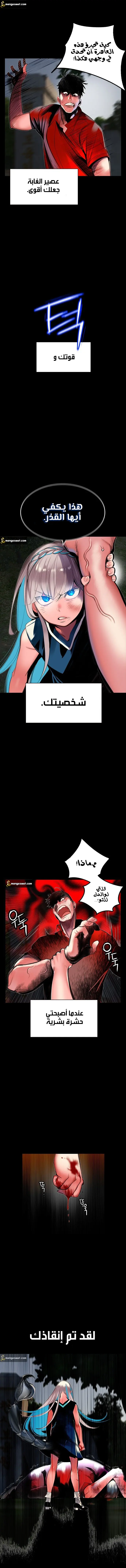 الصفحة 12