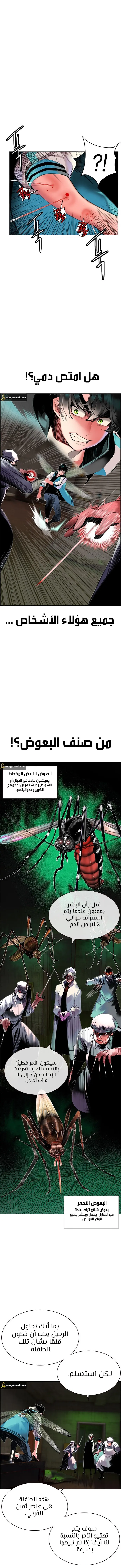 الصفحة 17