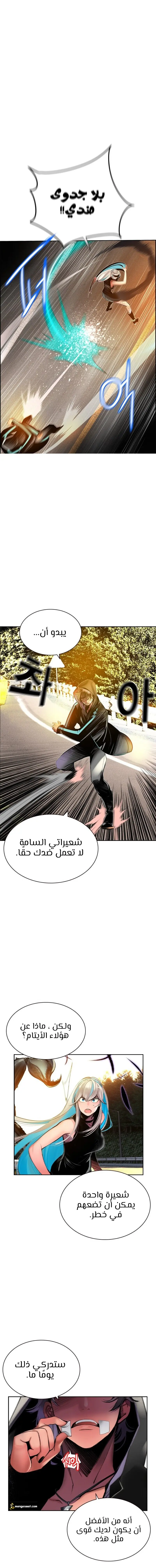 الصفحة 13