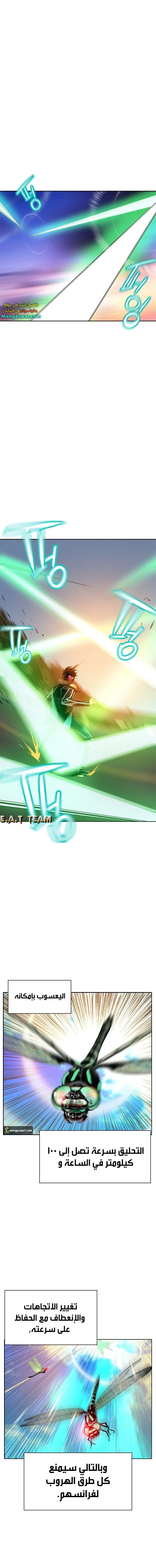 الصفحة 17