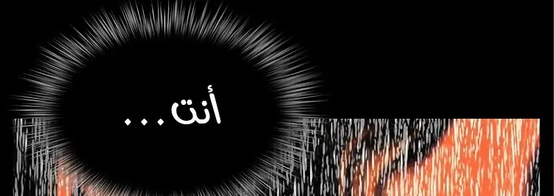 الصفحة 101