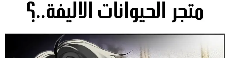 الصفحة 207