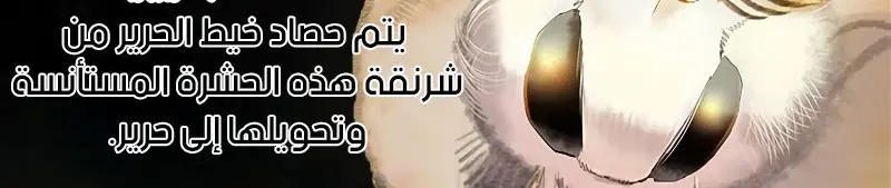 الصفحة 161