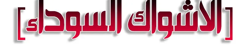 الصفحة 383
