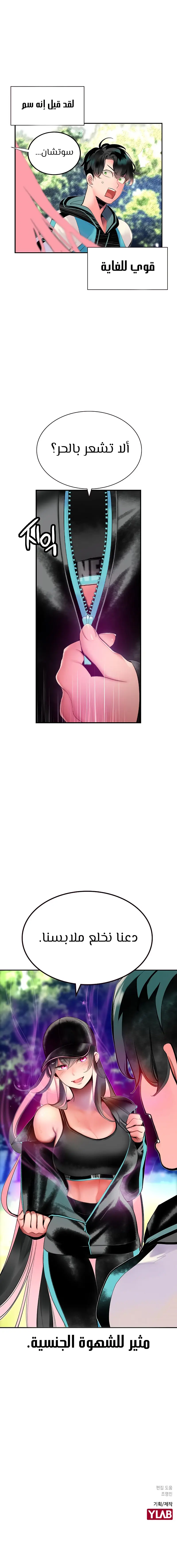 الصفحة 17