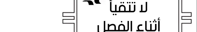 الصفحة 163