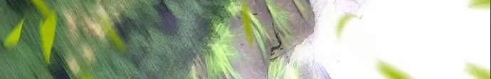 الصفحة 238