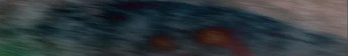 الصفحة 456