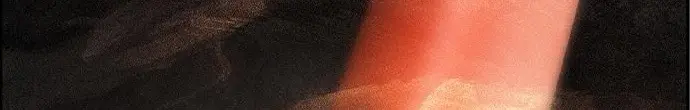 الصفحة 521