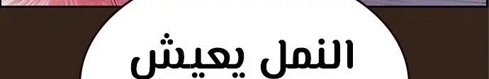 الصفحة 626