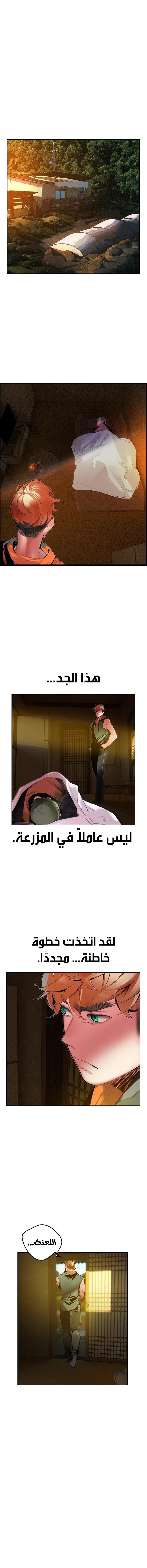 الصفحة 13