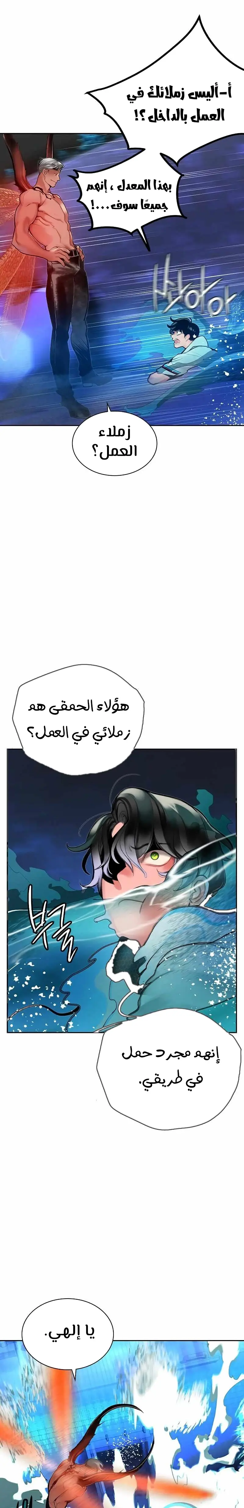 الصفحة 14