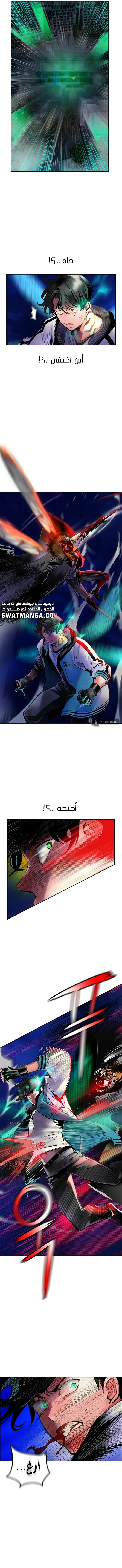 الصفحة 5