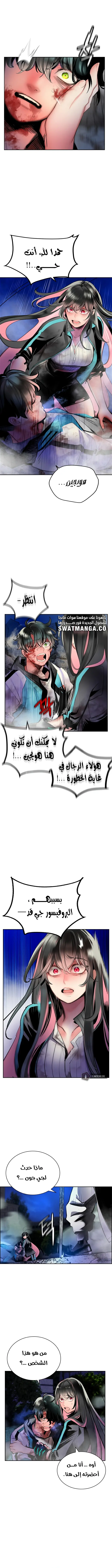 الصفحة 11