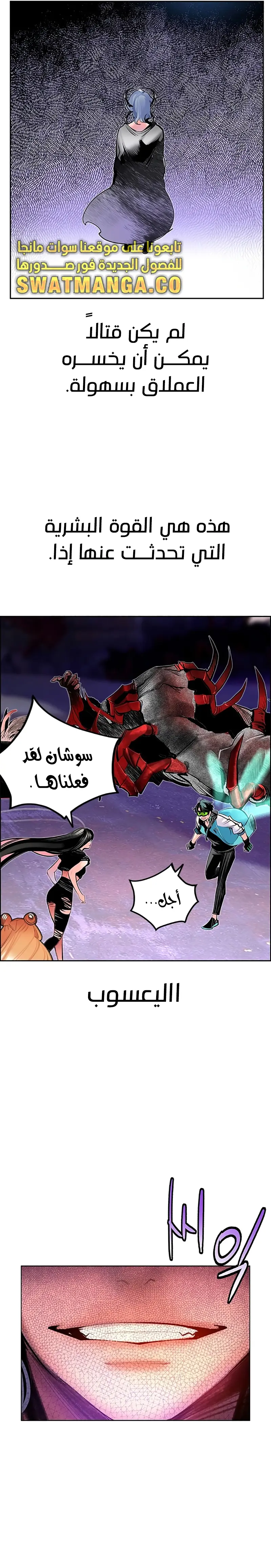 الصفحة 14