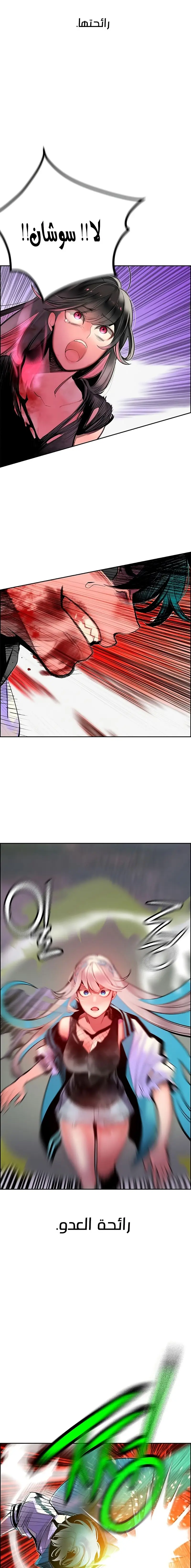 الصفحة 17