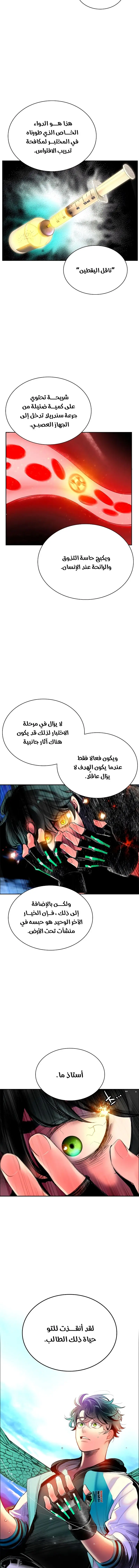 الصفحة 11