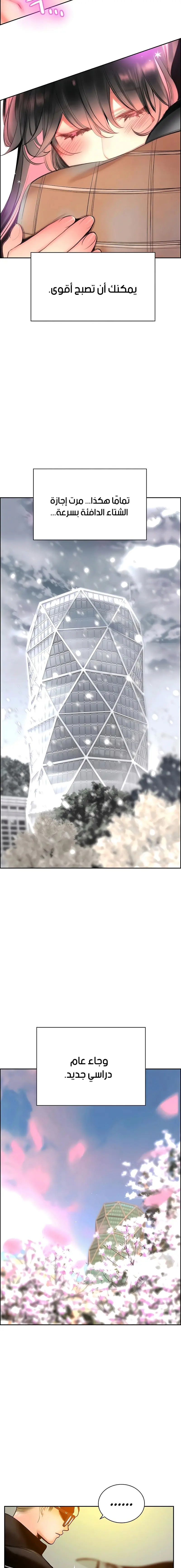 الصفحة 17