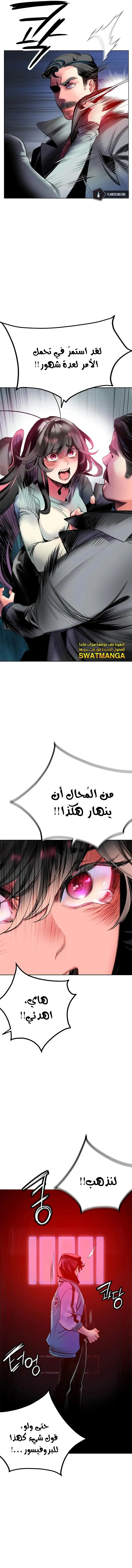 الصفحة 13
