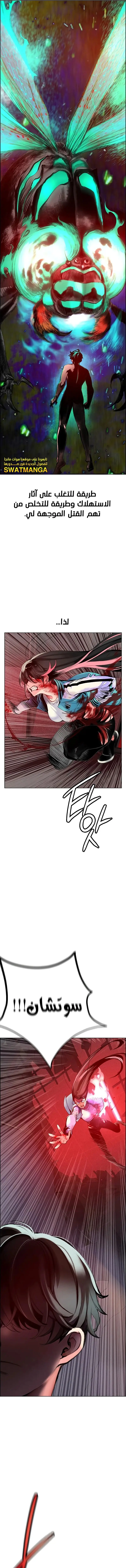 الصفحة 13