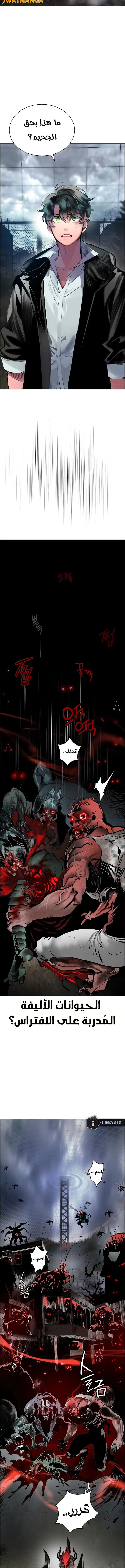 الصفحة 15