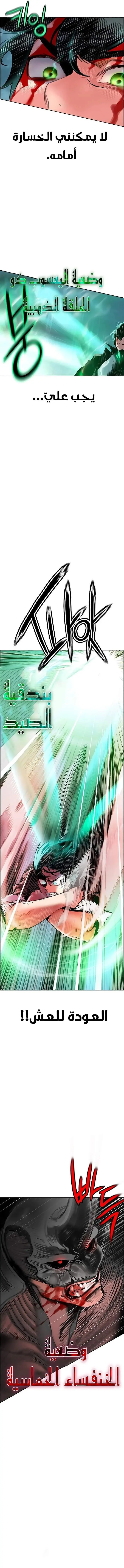 الصفحة 19