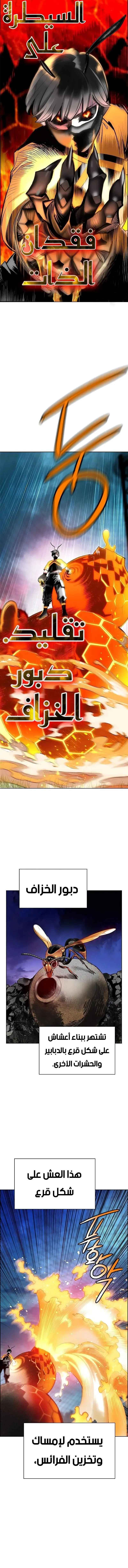 الصفحة 13