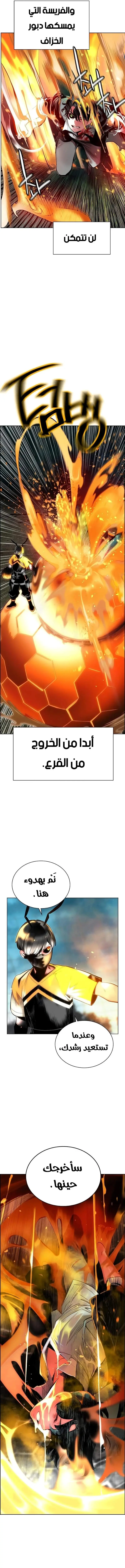 الصفحة 14