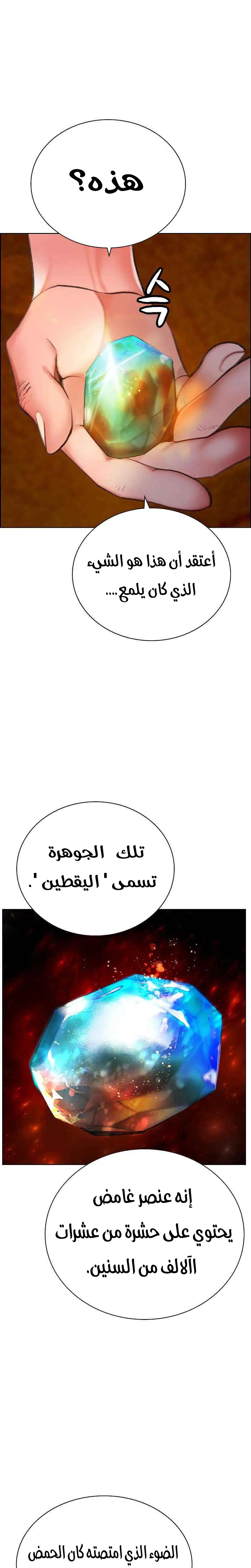 الصفحة 13