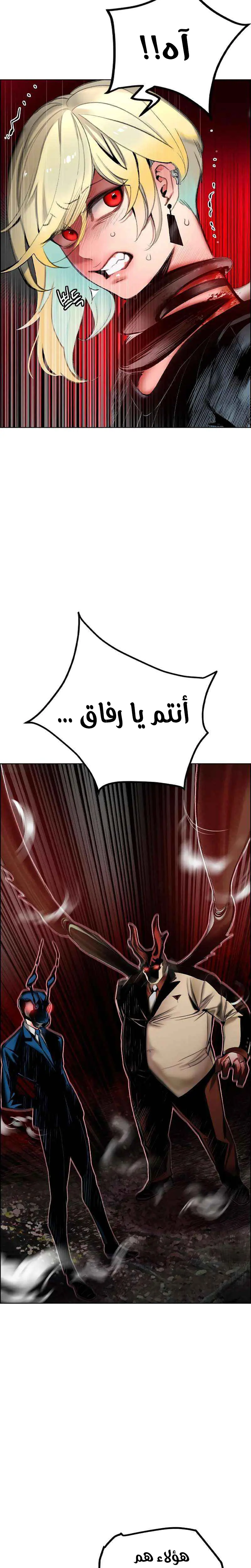 الصفحة 41
