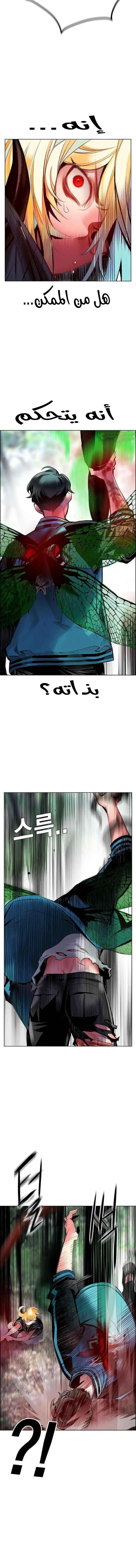 الصفحة 22
