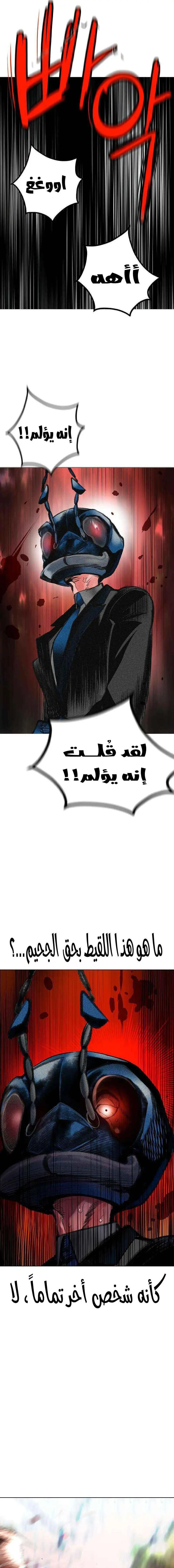 الصفحة 28