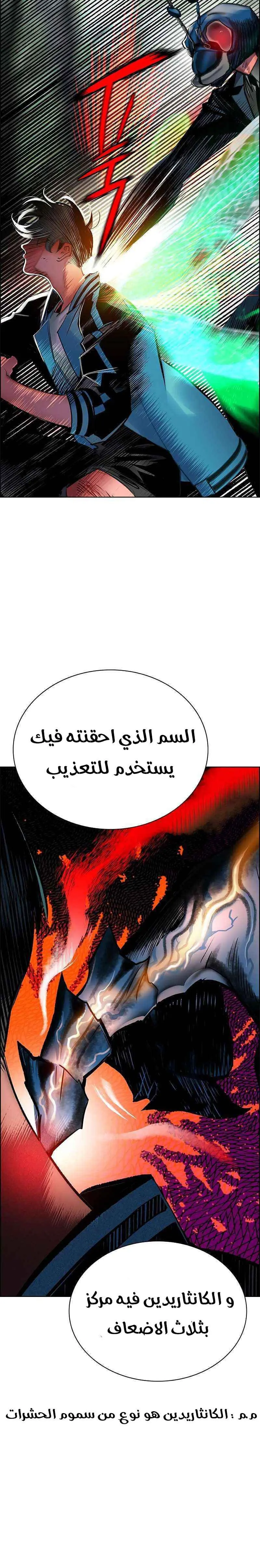 الصفحة 11