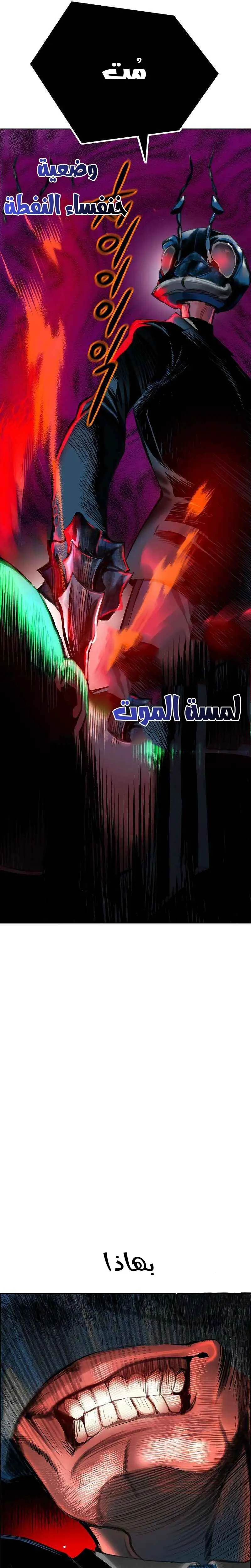الصفحة 12
