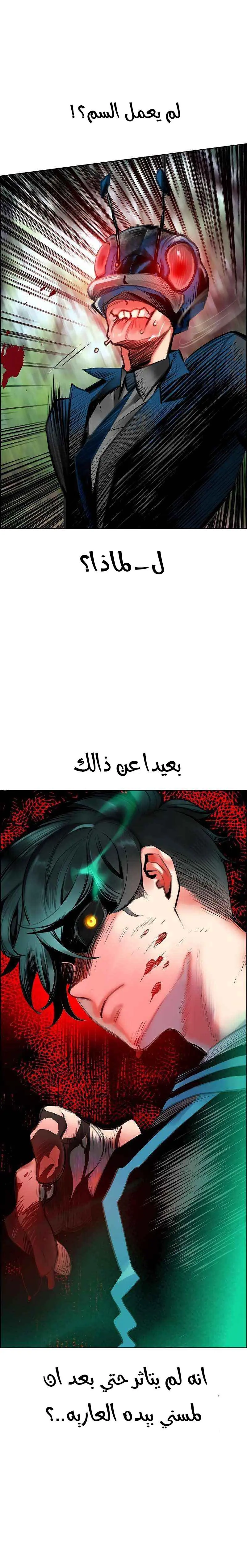 الصفحة 15