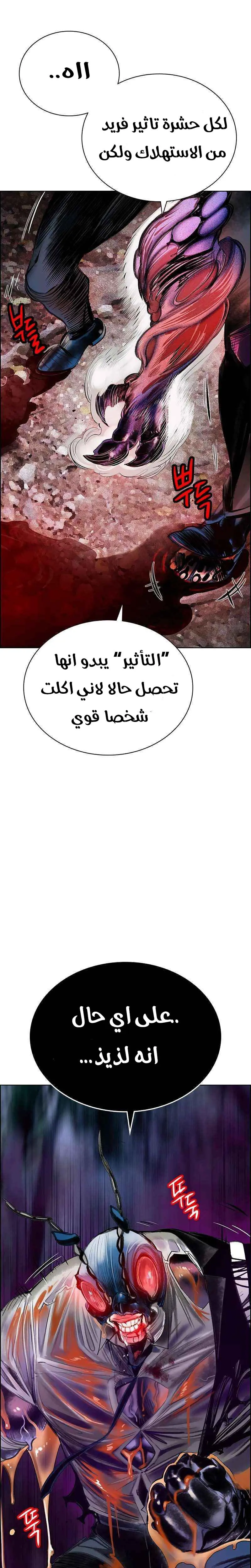 الصفحة 26