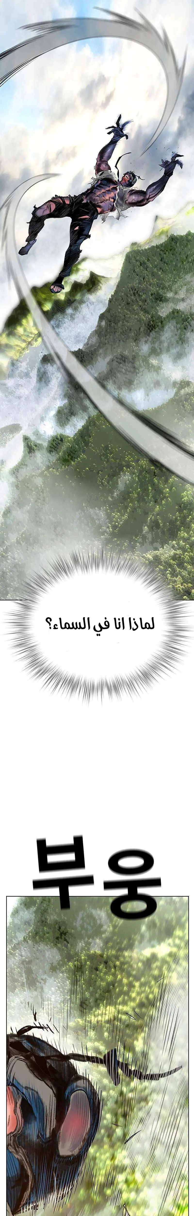 الصفحة 31