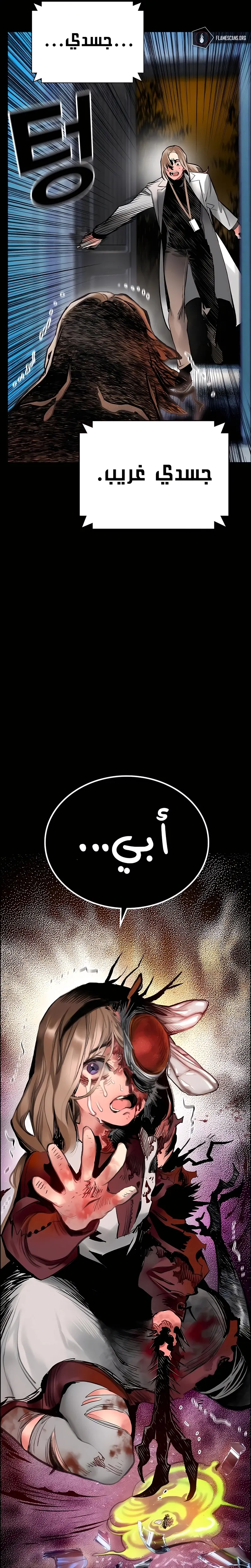 الصفحة 7