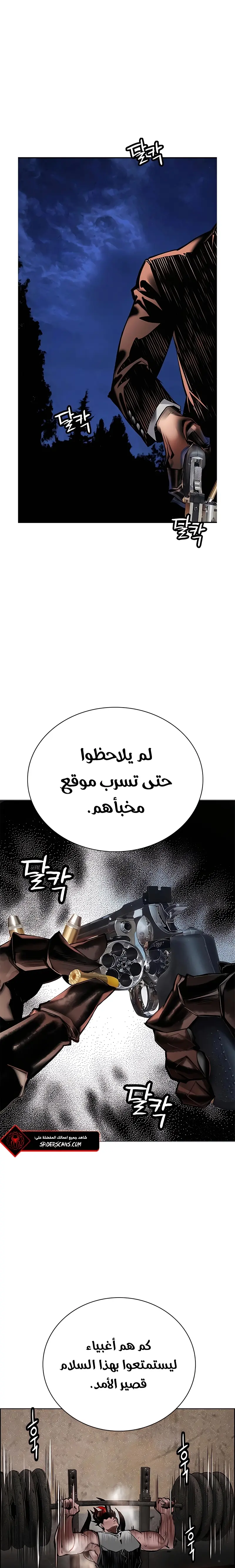 الصفحة 17