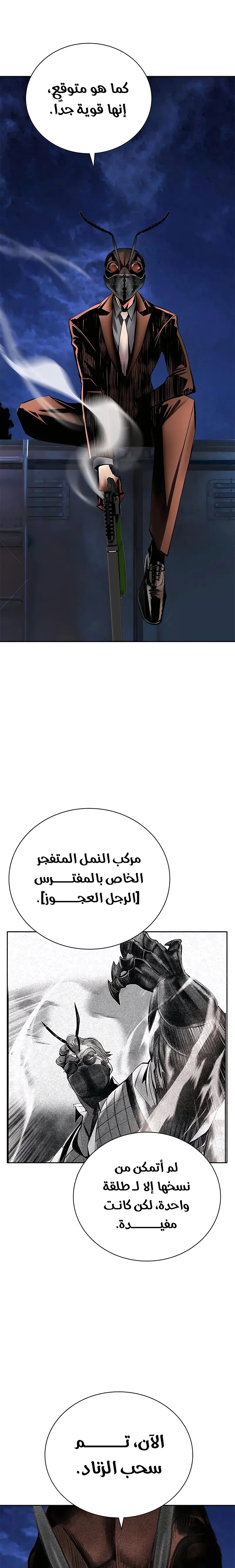 الصفحة 29
